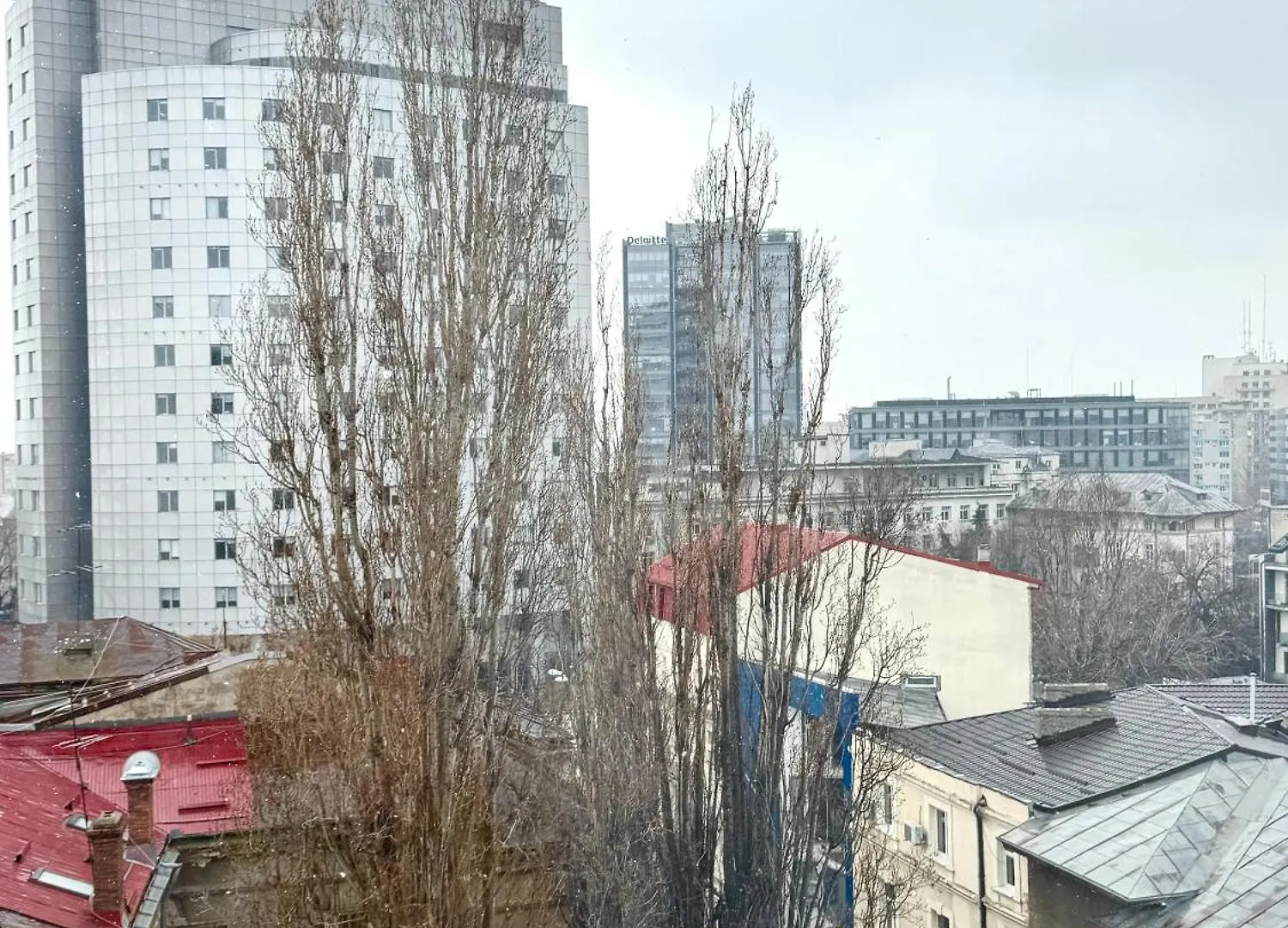Moon View - Apartment - Sanador Victoriei 布加勒斯特